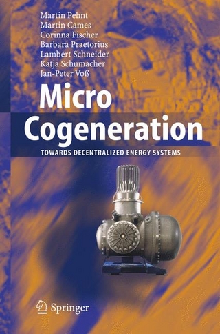 Micro Cogeneration - Martin Pehnt; Martin Cames; Corinna Fischer; Barbara Praetorius; Lambert Schneider; Katja Schumacher; Jan-Peter Voß