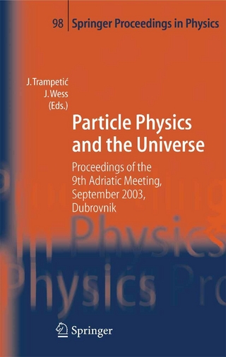 Particle Physics and the Universe - Josip Trampetic; Julius Wess