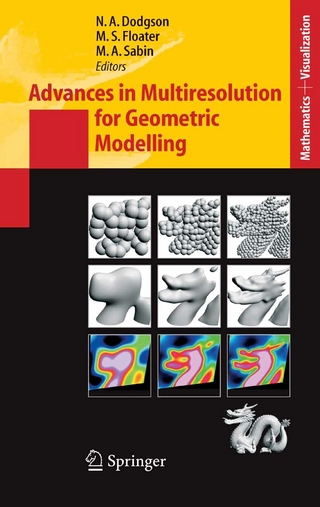 Advances in Multiresolution for Geometric Modelling - Neil Dodgson; Michael S. Floater; Malcolm Sabin