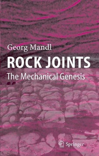 Rock Joints - Georg Mandl