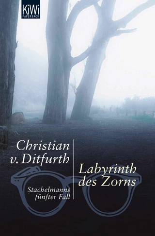 Labyrinth des Zorns - Christian von Ditfurth