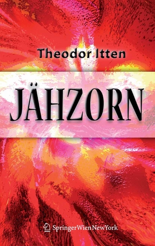 Jähzorn - Theodor Itten