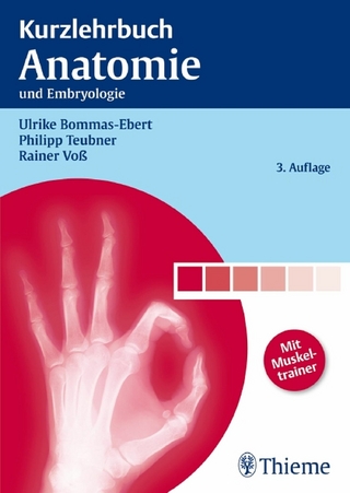 Kurzlehrbuch Anatomie - Ulrike Bommas-Ebert; Philipp Teubner; Rainer Voß