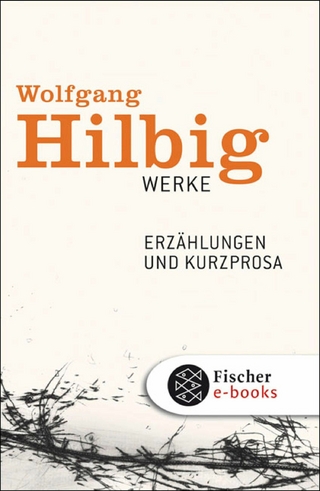 Werke, Band 2: Erzählungen und Kurzprosa - Wolfgang Hilbig; Jörg Bong; Jürgen Hosemann; Oliver Vogel