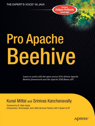 Pro Apache Beehive - Srinivas Kanchanavally; Kunal Mittal