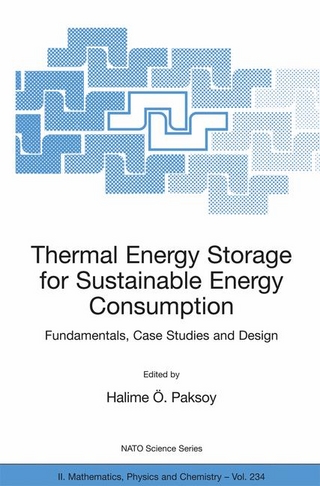 Thermal Energy Storage for Sustainable Energy Consumption - Halime Ö. Paksoy