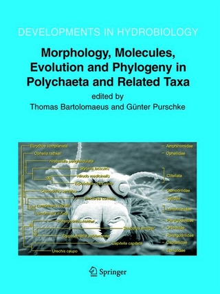 Morphology, Molecules, Evolution and Phylogeny in Polychaeta and Related Taxa - Günter Purschke