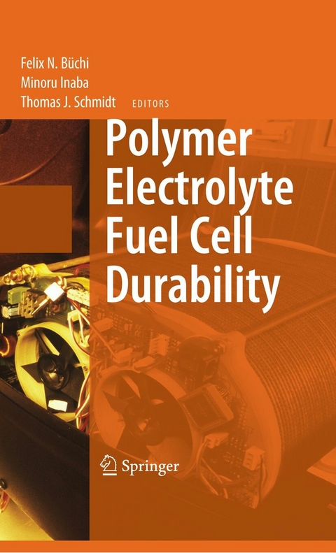 Polymer Electrolyte Fuel Cell Durability - 
