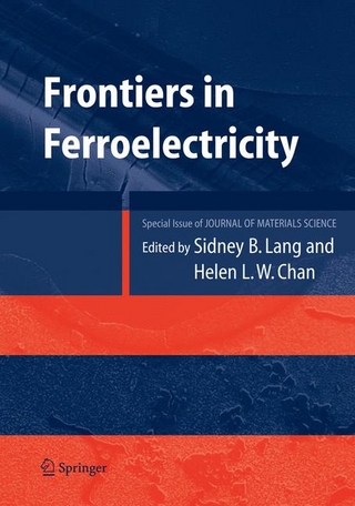 Frontiers of Ferroelectricity - Helen L.W. Chan; Sidney B. Lang