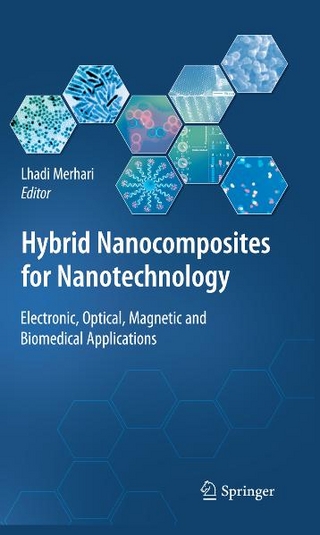 Hybrid Nanocomposites for Nanotechnology - Lhadi Merhari