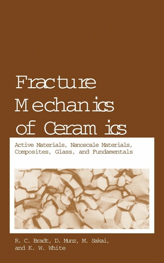 Fracture Mechanics of Ceramics - R.C. Bradt; D. Munz; M. Sakai; Ken W. White