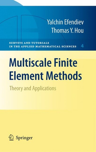 Multiscale Finite Element Methods - Yalchin Efendiev; Thomas Y. Hou