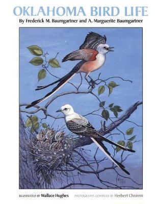 Oklahoma Bird Life - Frederick M. Baumgartner; A. Marguerite Baumgartner